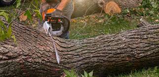 Best Firewood Processing and Delivery  in Fairway, KS